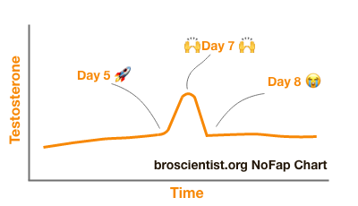 Chart showing  what happens to testosterone levels on NoFap - steady for 5 days, then rises, peaking on day 7 then going back to baseline on day 8