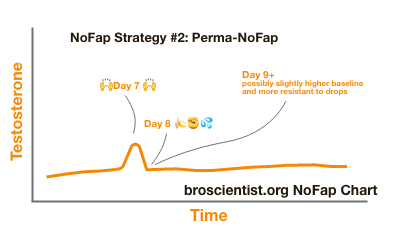 Chart showing a single peak of testosterone at 7 days then a slightly higher baseline after - after starting NoFap